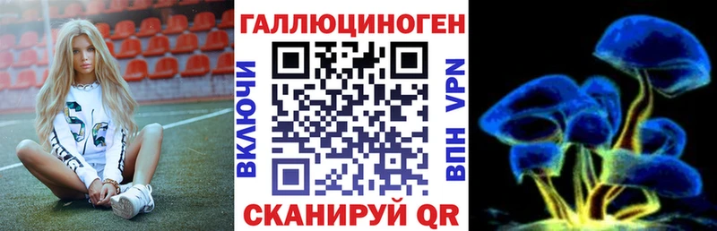 Псилоцибиновые грибы GOLDEN TEACHER  Купить где  Новороссийск