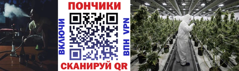 Купить где  Новороссийск  Бошки Шишки тримм 